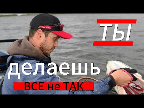 Видео: Универсального ТОПа приманок не существует!