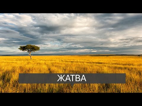 Видео: Игорь Горелик. В царстве божьем, нет не плодовитых людей!