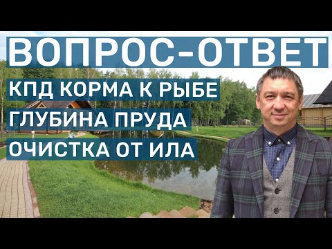 Видео: Раки спасут от ила? Расчёт глубины пруда; Ответы на вопросы по обслуживанию пруда и рыбоводству