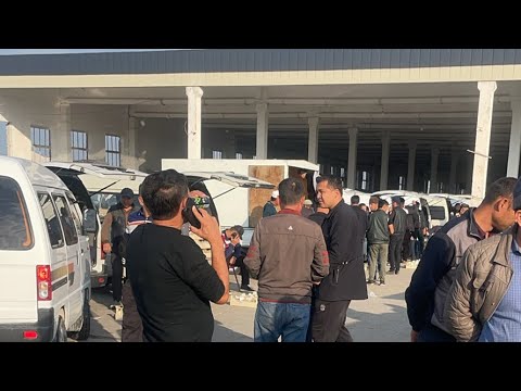 Видео: УЗУМЛАР БУГН УЧЯБДИ ДАМСКИЙ 26000. Олтиариқ узум бозор видео 2