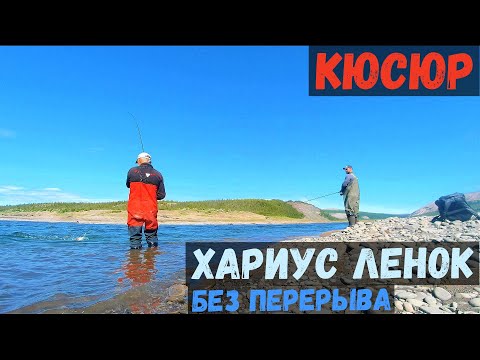 Видео: ОТВАЛ БАШКИ! КЮСЮР- ЛЕНОК И ХАРИУС БЕЗ ПЕРЕРЫВА!