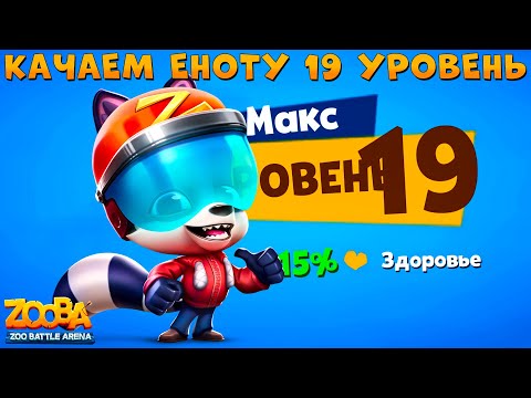 Видео: КАЧАЕМ 19 УРОВЕНЬ - ГОНЩИК ЕНОТ МАКС В ИГРЕ ZOOBA