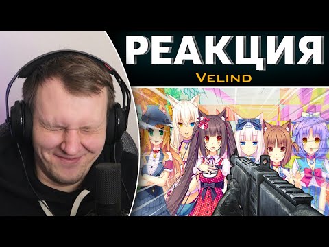 Видео: Как жить с котодевочками | Реакция на Velind