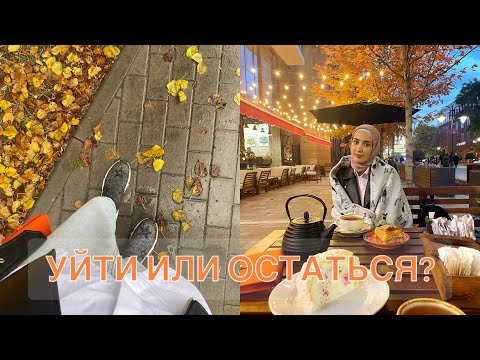 Видео: ПОСОВЕТУЙТЕ ЧТО ДЕЛАТЬ?!ВАШ ВЗГЛЯД СО СТОРОНЫ..ЗОЛОВКА ПРИЛЕТЕЛА ДОМОЙ🤍