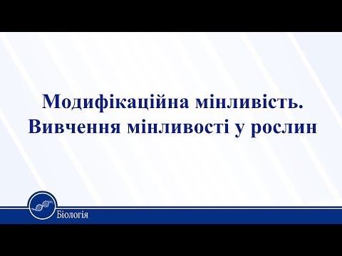 Видео: Модифікаційна мінливість. Вивчення мінливості у рослин. Біологія 11 клас