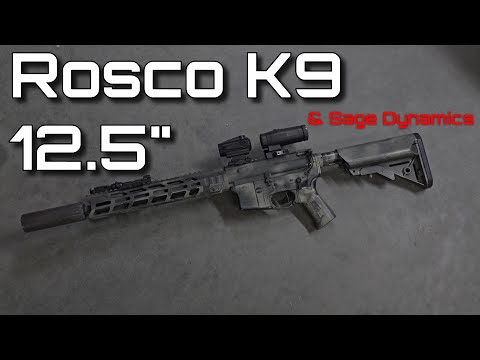 Видео: Маркетинговая бакалавриат — Rosco & Sage Dynamics K9 12,5-дюймовый ствол