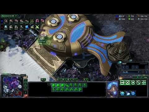 Видео: SC2 Оранж и Лев