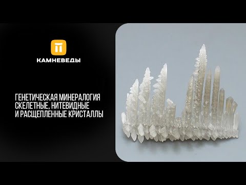 Видео: Генетическая минералогия. Скелетные, нитевидные и расщепленные кристаллы