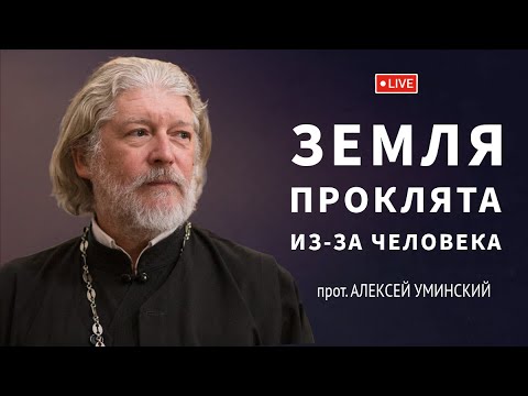 Видео: Первый грех человека — прот. Алексей Уминский, из эфира 16.04.24