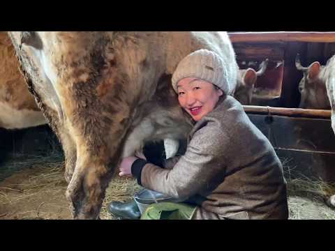 Видео: Один день из жизни сельского чиновника в Якутии