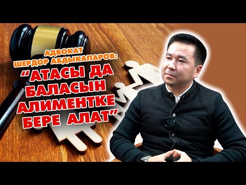 Видео: Адвокат Шердор Абдыкапаров: "Атасы да баласын алиментке бере алат" (2-бөлүк)