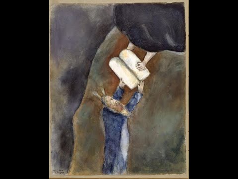 Видео: Слон тоже большое животное