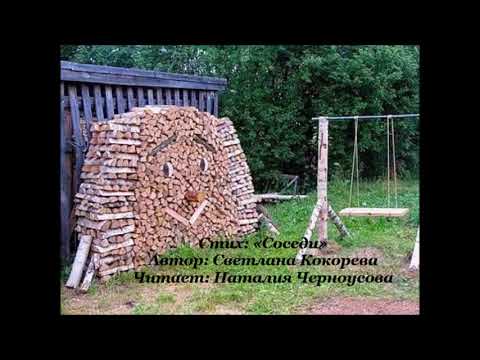 Видео: Стих: «Соседи». Автор: Светлана Кокорева. Читает: Наталия Черноусова