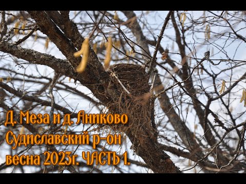 Видео: Часть 1. Д. Меза и д. Аниково Судиславский район. Весна 2023 г.