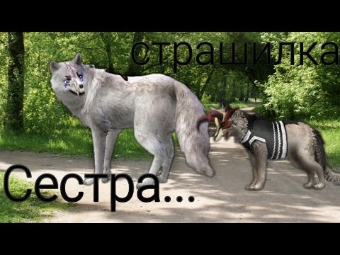 Видео: Страшилка|| Сестра...|| Collab|| Mentoss and Blacki|| WildCraft