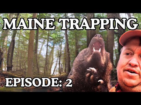 Видео: Ловля рыбы на отдаленной реке Мэн с помощью лодки: Эпизод 2