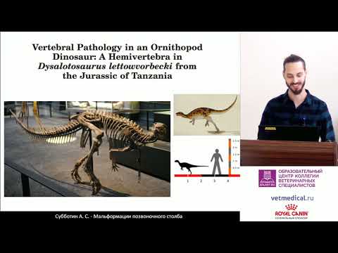 Видео: Субботин А. С. -  Мальформации позвоночного столба