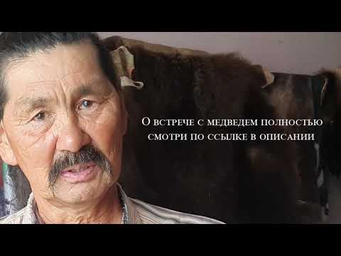 Видео: Выживший в схватке с медведем. Камчатка. Палана