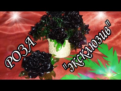 Видео: Черная РОЗА "эксклюзив" black rose from bottles