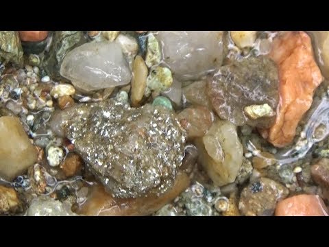 Видео: Добываю золото! Шурф