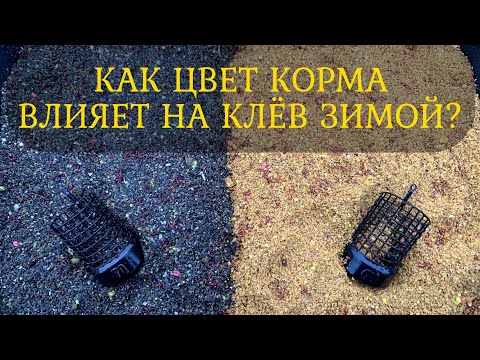 Видео: Влияет ли цвет корма на клёв? Фидерная рыбалка на Днестре. Поклёвки крупной тарани и подлещика.