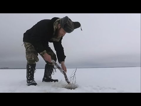 Видео: Проверка самоловак Рыбалка Первый Лёд