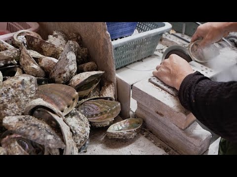 Видео: Процесс массовой переработки выброшенных ракушек для создания произведений искусства.