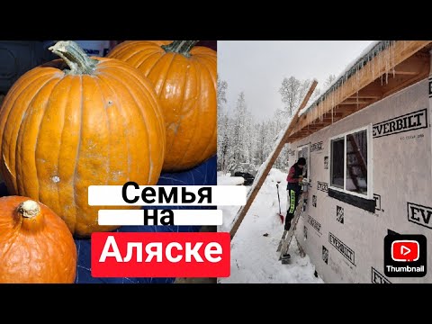 Видео: Готовим из Тыквы|Поставили Окно в Кухне (29)