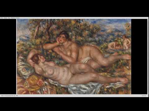 Видео: Кса и Ренуар