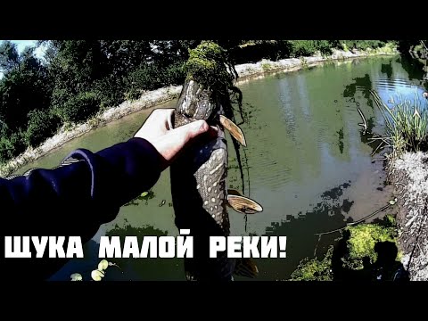 Видео: Ловля щуки на малой реке в середине лета. Попал на НЕРЕАЛЬНЫЙ клёв!