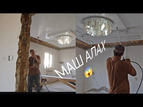 Видео: 12 ноября 2025 г.