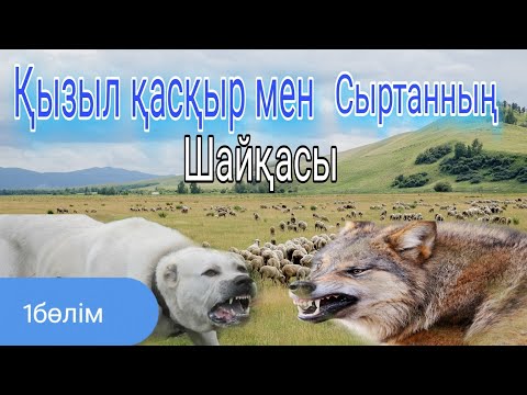 Видео: Қойшы бала мен Сыртан Авторы: Ернар Абдібайұлы. Оқыған: Жанарбек Аскерұлы