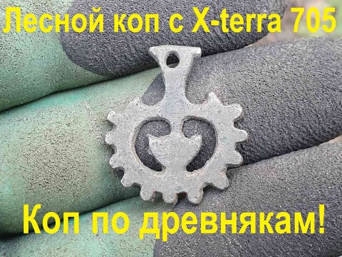 Видео: Лесной коп с X Terra 705 Фильм 74