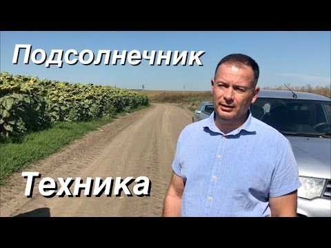 Видео: Осматриваем разные поля подсолнечника и технику