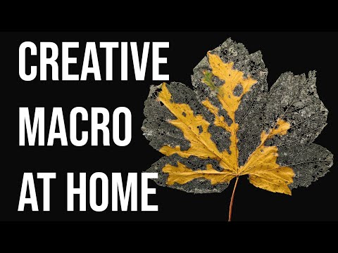 Видео: Попробуйте эту простую идею макроса дома (урок с освещением и настройками)