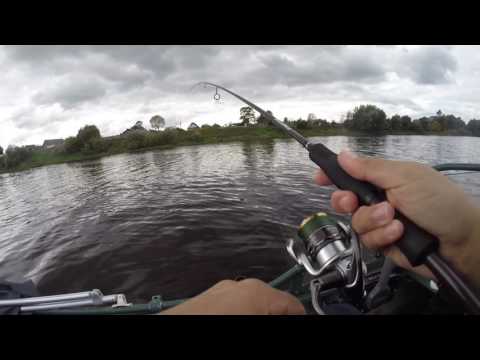 Видео: Рыбалка на судака и окуня осенью. Ловля судака на джиг с лодки в сентябре.