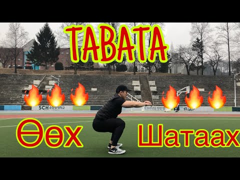 Видео: 4н минутын өөх шатаах TABATA 🔥 | Healthy Mongolians