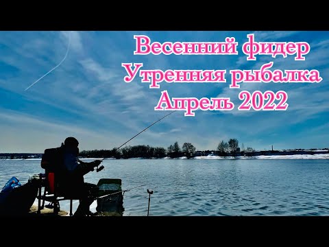 Видео: Фидер на реке  Утренняя рыбалка  Апрель 2022