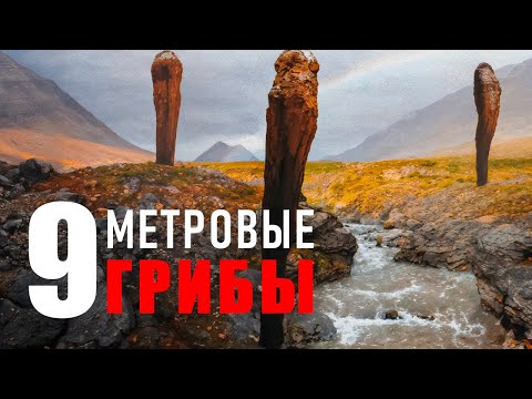 Видео: ОНИ ВЫМЕРЛИ, НО ПОЧЕМУ? Загадка исчезновения гигантских грибов!