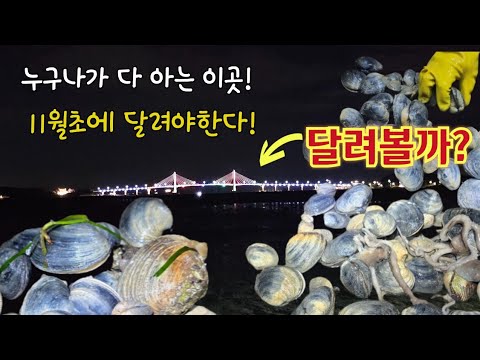 Видео: Остров Ёнхындо: в начале ноября вокруг острова Исом (всем известного острова) будет кишеть ямы. П...