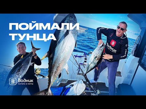 Видео: ПОЙМАЛИ ОГРОМНЫХ ТУНЦОВ! | Рыбалка на ТУНЦА на Сахалине | Салон катеров и яхт "Водник"