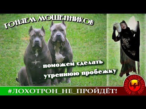 Видео: Гоняем мошенников. (Автор - Наталья Рамирес).