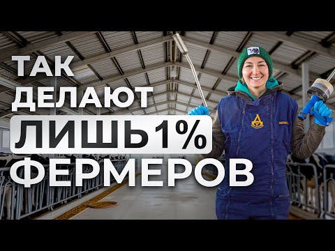 Видео: 99% ферм теряют деньги из-за этого! Как спасают животных и бизнес одновременно – в СП Ашкадарский