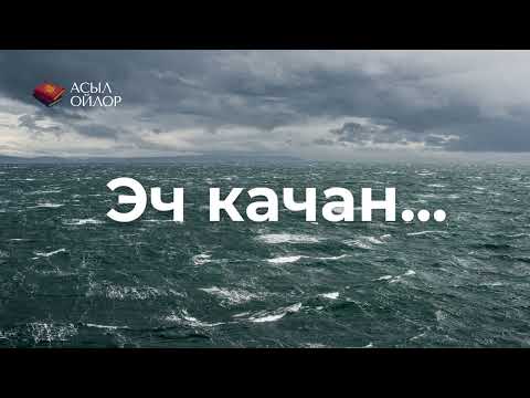 Видео: Эч качан...