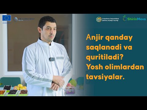 Видео: Анжир қандай сақланади ва қуритилади? Ëш олимлардан тавсиялар