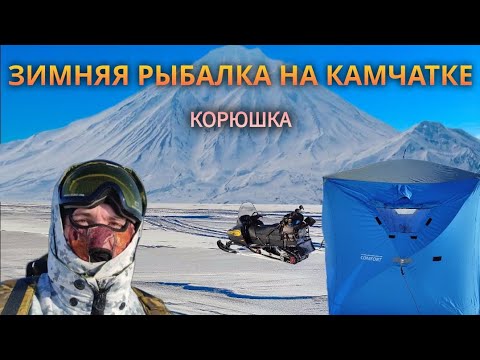 Видео: БЕШЕНЫЙ КЛЁВ И НЕИМОВЕРНОЕ КОЛИЧЕСТВО СХОДОВ | ЗИМНЯЯ РЫБАЛКА НА КАМЧАТКЕ!