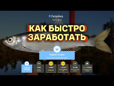 Видео: Русская Рыбалка 4 - как быстро заработать монет для новичка!