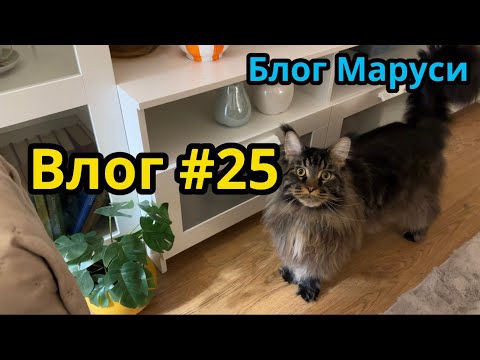 Видео: НЕДЕЛЯ БЕЗ ВЛОГОВ | НЕ СМОТРИТЕ, НИЧЕГО ИНТЕРЕСНОГО  | БЛОГ МАРУСИ