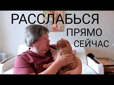 Видео: Расслабься прямо сейчас и пребывай в покое