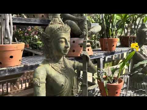 Видео: Посещение питомника Р.Ф., Хоумстед, Флорида